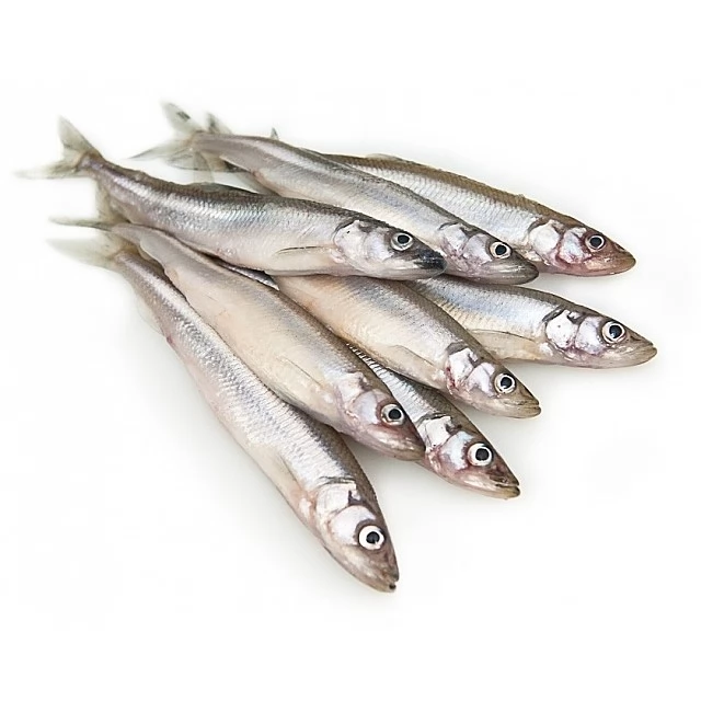 Salaka a/g IQF 12-16, 10% Somija, 1kg