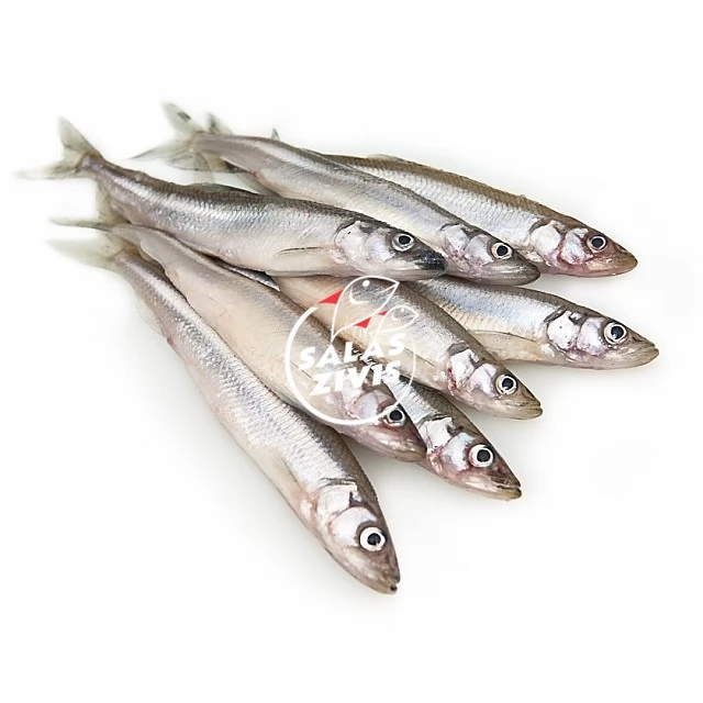Salaka a/g IQF 12-16, 10% Somija, 1kg