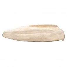 Melnā eskolāra fileja b/ā 2-7kg, saldēta, Indonēzija IQF (20kg) 20%