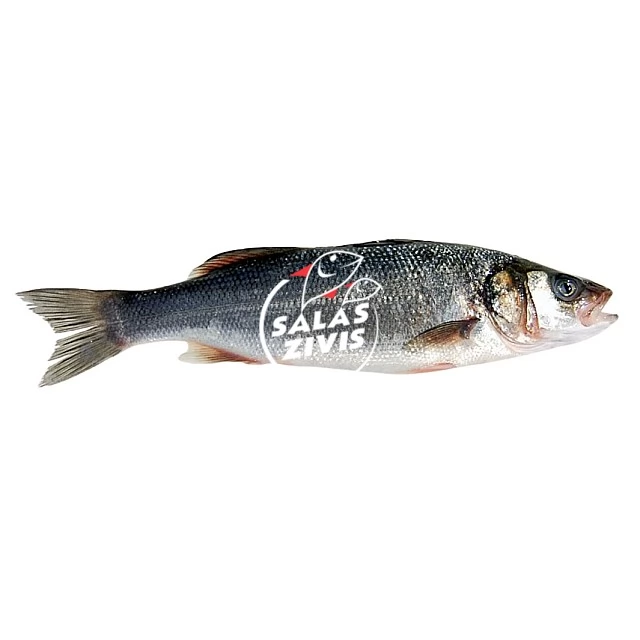 Whole ungutted redfish/sea perch, 20% glazing, frozen 300/400, IQF, Turkey, Box 5kg