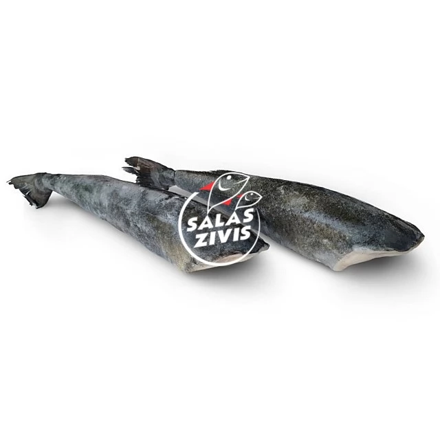 Black cod (Sablefish) 4/5lbs (1.80-2.20kg)