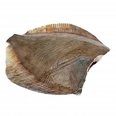 Plekste bez galvas ķidāta 200-300 gr  (16 kg) Limanda ferruginea Kanada sald.