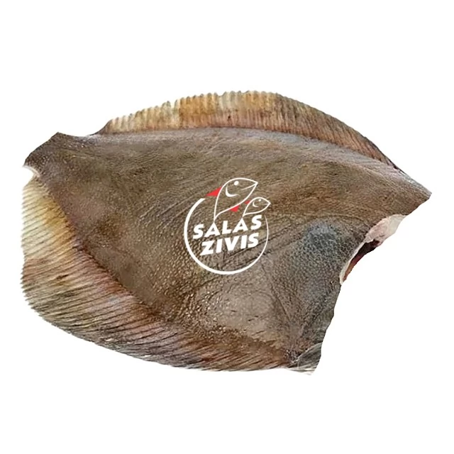 Yellowtail flounder H&G 200-300g, Limanda ferruginea, Canada frozen 16kg