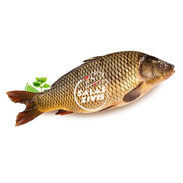 Carp gutted 0.85-2.3 kg