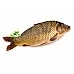 Carp gutted 0.85-2.3 kg