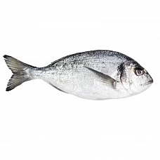 White Seabream, gutted, frozen, 300-500g 5% glaze