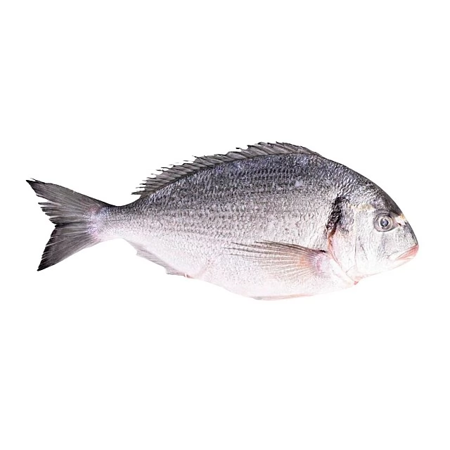 Common Bream (Red Porgy) gutted, frozen, 800-1200g, 5%glaze