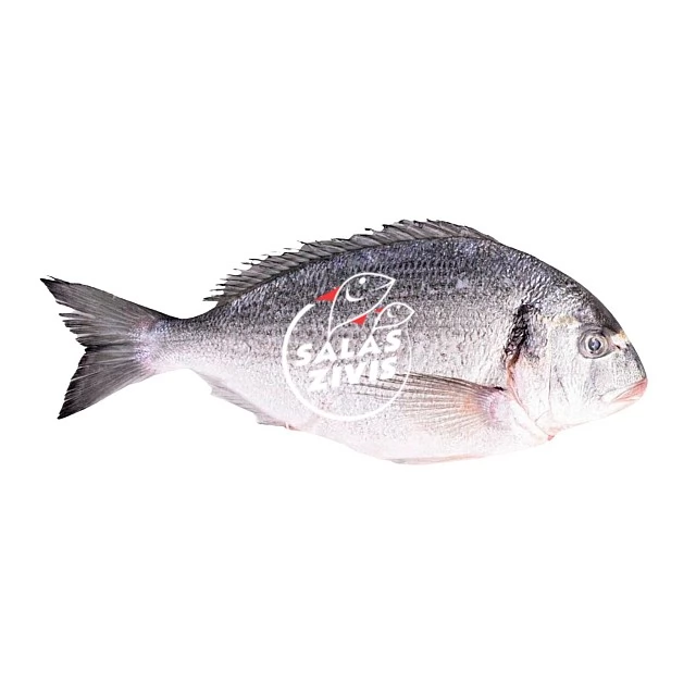Whole ungutted sea bream 300/400, frozen, Turkey, Box 5kg