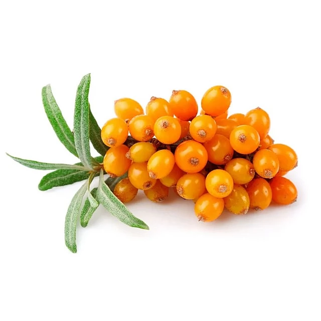 Smiltsērkšķi (2kg) Latvija