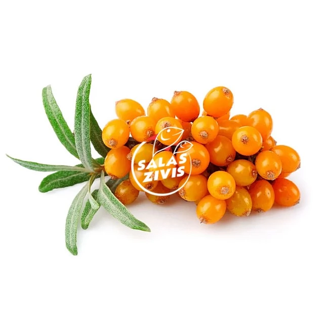 Smiltsērkšķi (2kg) Latvija