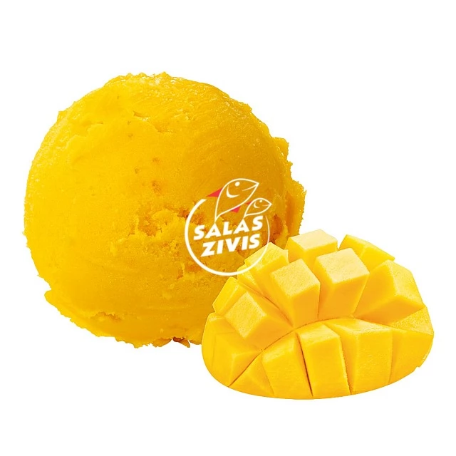 Saldējums ar mango garšu un augļu gabaliņiem "MANGO", 4000 ml