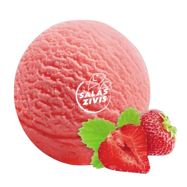 Saldējums ar zemeņu garšu un ogu gabaliņiem "ZEMEŅU", 2,5kg/4L