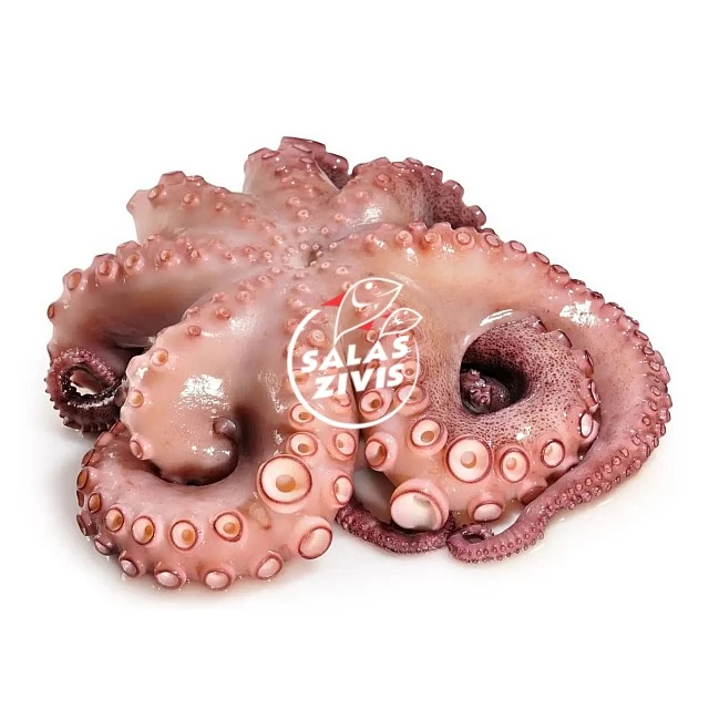 Astoņkāji jēli, attīrīti 2-3kg, 2.5kg, 10%