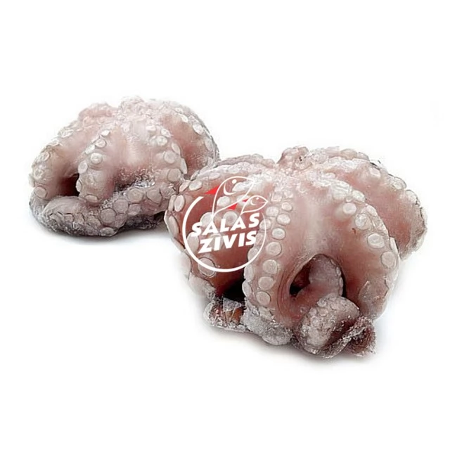 Octopus whole-cleaned, raw 1.5-2kg Flower-shaped Spain (~11kg) 10% Moyseafood