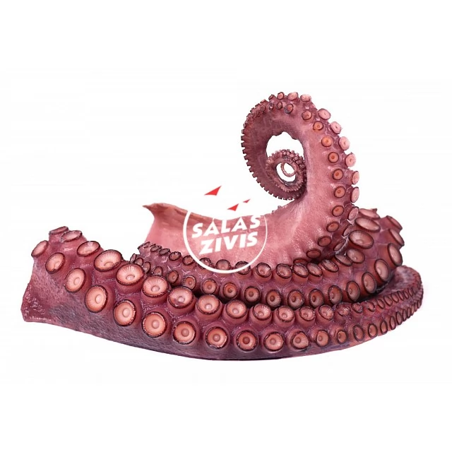 Astoņkāja vārīti taustekļi, saldēti (65g x 6 gab) (375g x 16), Spānija (6kg) Moyseafood