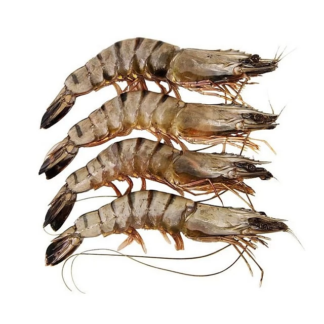 Black Tiger head-on, shell-on, raw 16/20 India (1kg) 20%