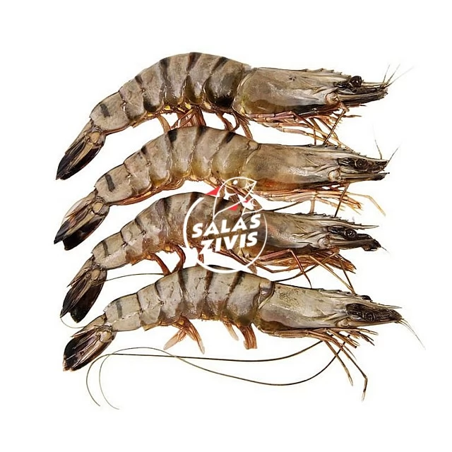 Tīģergarneles veselas jēlas 16/20 Indija (1kg) 20% (tīrsvars 800g)
