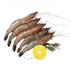 Tīģergarneles veselas jēlas 8/12 Indija (1kg) 20% lidz 20cm