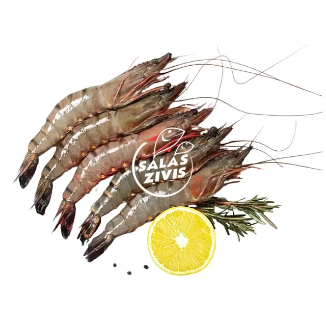 Tīģergarneles veselas jēlas 8/12 Indija (1kg) 20% lidz 20cm