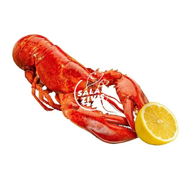 Lobster cooked 300g Canada (300g)