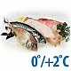 Охлаждённая
