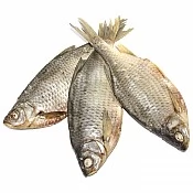 Dried (1)