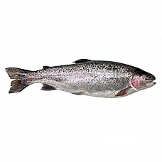 Varavīksnes forele a/g ķidāta 250/300g. 10 % (5 kg) Turcija  sasald.
