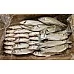 Spotted Seabass gutted, frozen, 0,2-0,3kg, 5% glaze