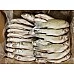 Spotted Seabass gutted, frozen, 0,3-0,5kg, 5% glaze