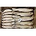 Spotted Seabass gutted, frozen, 0,5-0,8kg, 5% glaze