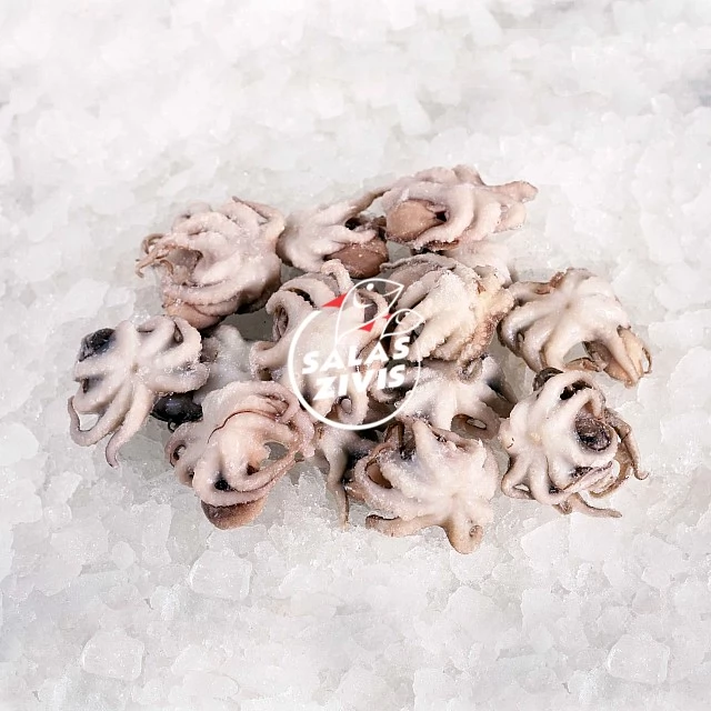 Baby octopus whole-cleaned, raw 40/60, 1kg, 20%