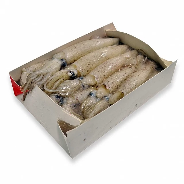 Loligo Squid whole-cleaned, skin-less, with tentacles 20/40 India (10x1kg) 20%