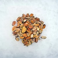 Mussel meat, cooked 100/200, 10kg, 10%