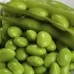 Соевые бобы EDAMAME в стручках, бланшированные, 400г
