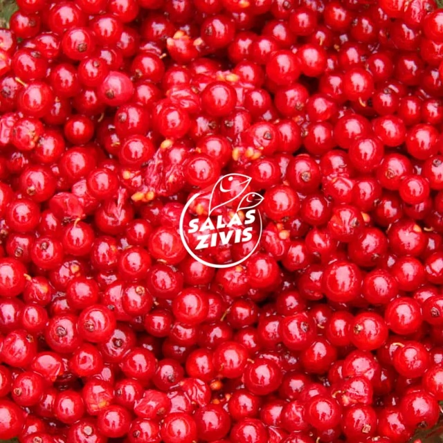Red currant without steam, 2,5kg