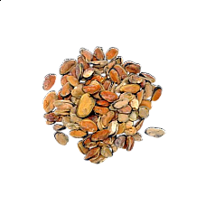 Mussel meat, cooked 100/200, 10kg, 10%