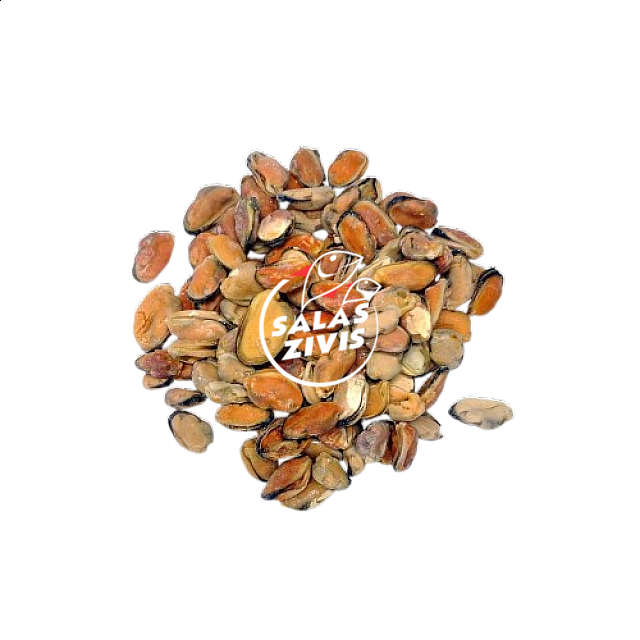 Mussel meat, cooked 100/200, Box 10kg