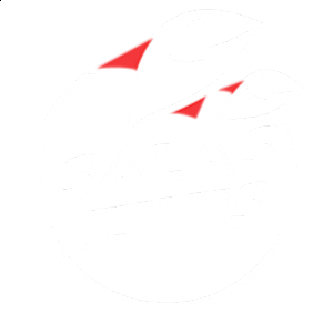 Salas Zivis
